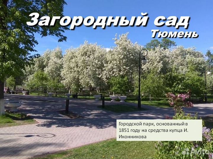 Горячие источники Тюмени из Перми /хп3039