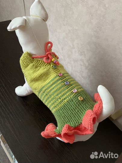 Вязаные вещи для собак