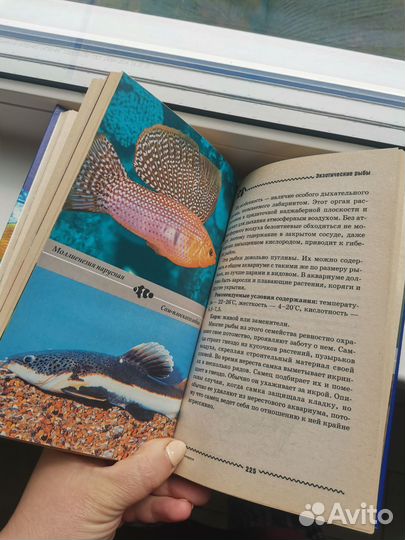 Книга аквариум