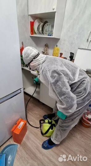 Средство для Уничтожения клопов тараканов плесени клещей