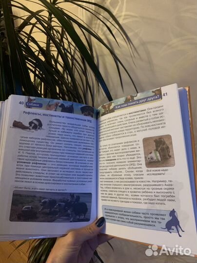 Книгя для детей