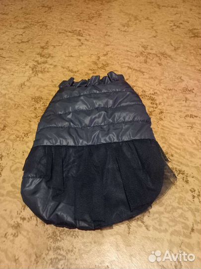 Одежда для маленьких собак