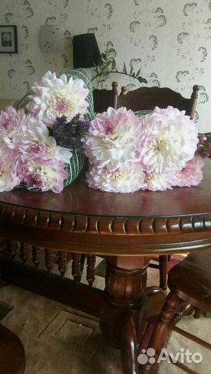 Шикарные георгины и гладиолусы на посадку