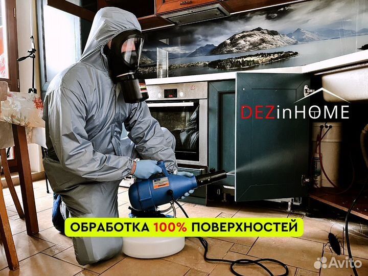 Уничтожение клопов, тараканов, Дезинфекция