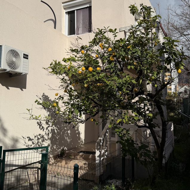 Квартира-студия, 27 м² (Черногория)