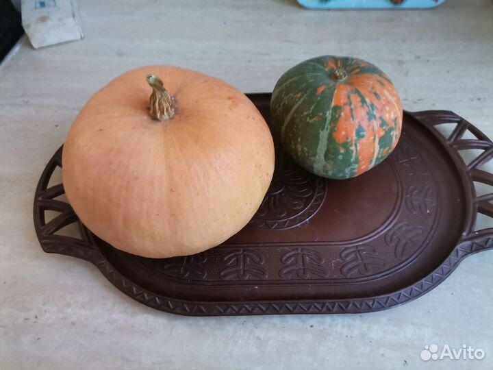 Поднос пластмассовый