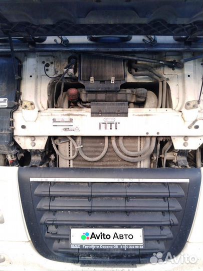 DAF FT XF 105.460, 2017