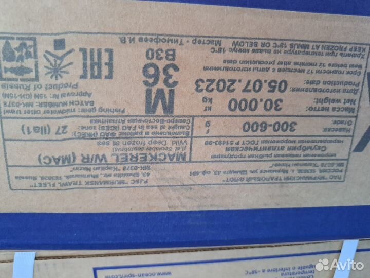 Скумбрия 300-600 атлантика мтф июль 2023 г