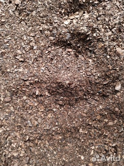 Отходы кофе