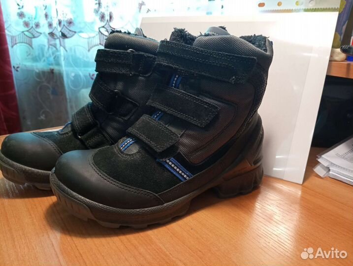 Сапожки Ecco детские для мальчика