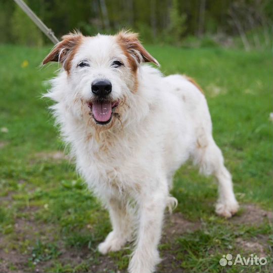 Челси хочет стать домашней