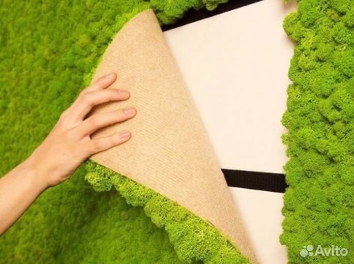 Стабилизированный мох. Озеленение. Фитодизайн