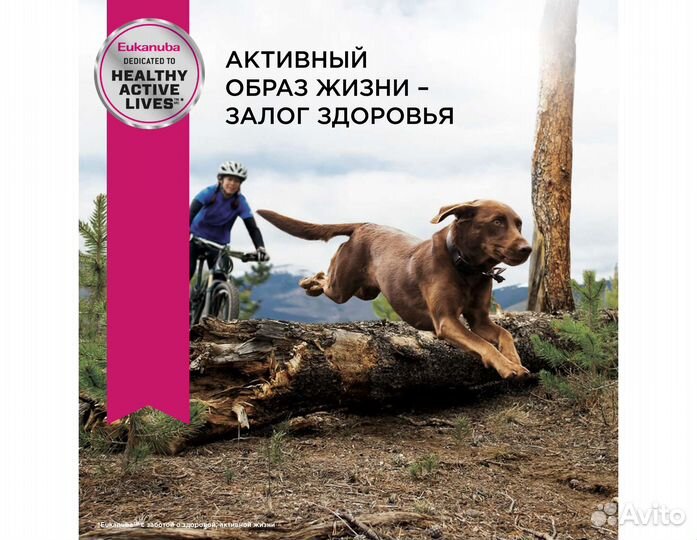 Корм Eukanuba для собак крупных пород, 3кг