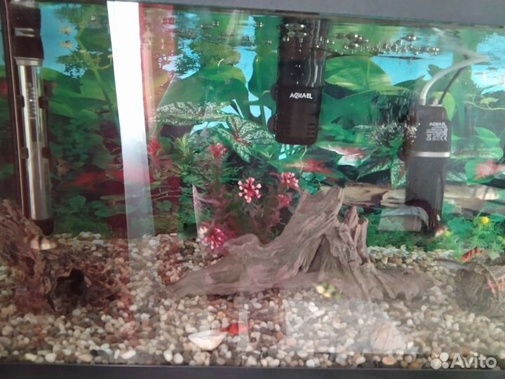 Аквариум