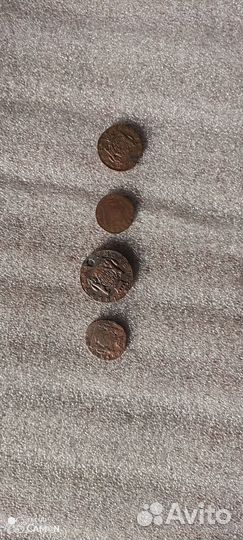 Сибирские монеты