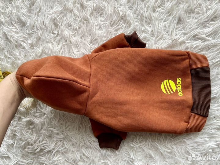 Худи для собак