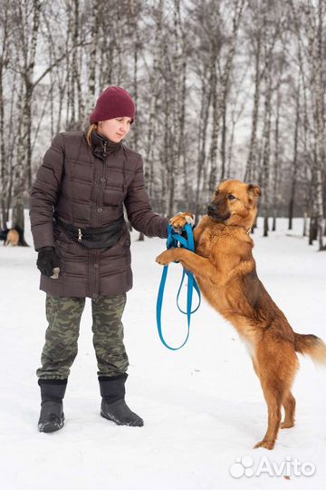 Послушный Кай ищет семью