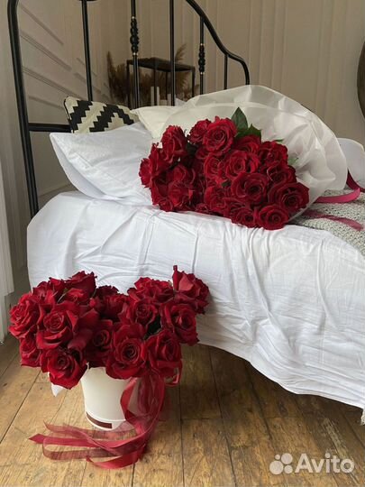 Розы Explorer. Букет из 35 штук