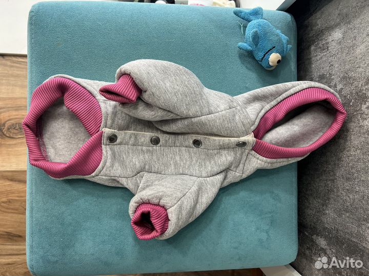 Одежда для сфинкса/мелкой собаки