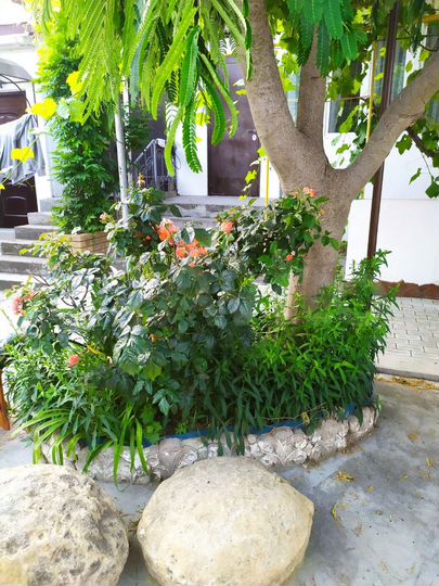 2-к. квартира, 46 м², 1/2 эт.