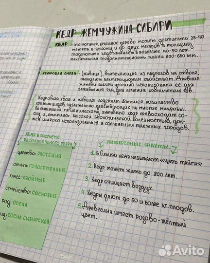 Помощь студентам