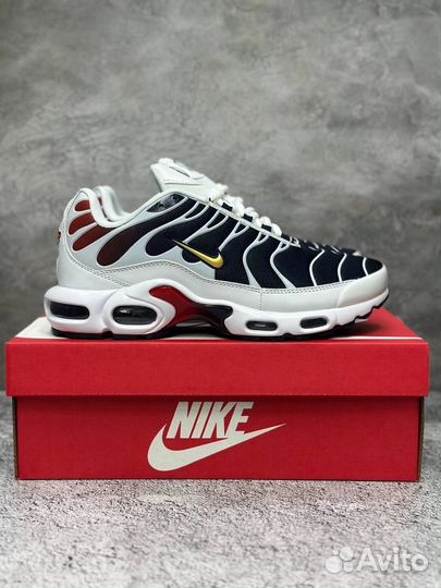 Кроссовки Nike air max TN plus мужские