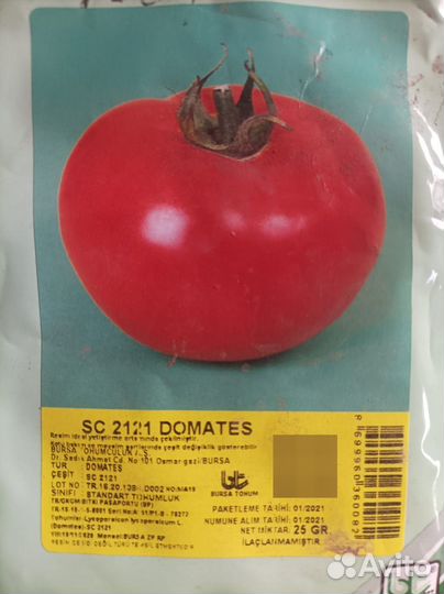 Помидор Турецкий