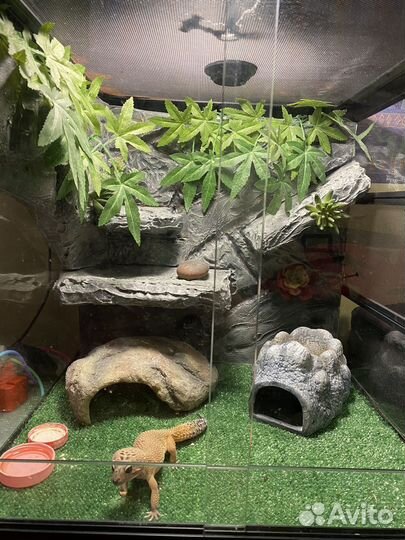 Террариум Repti-zoo