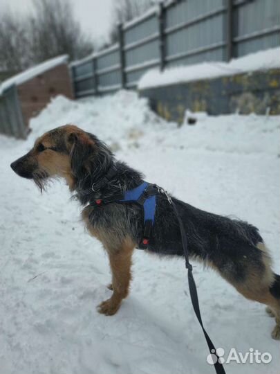 Ёлочка ищет самые заботливые ручки