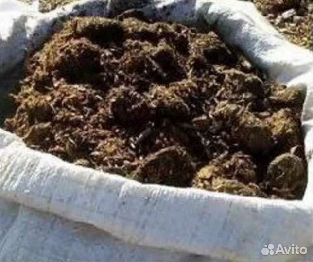 Навоз свининой