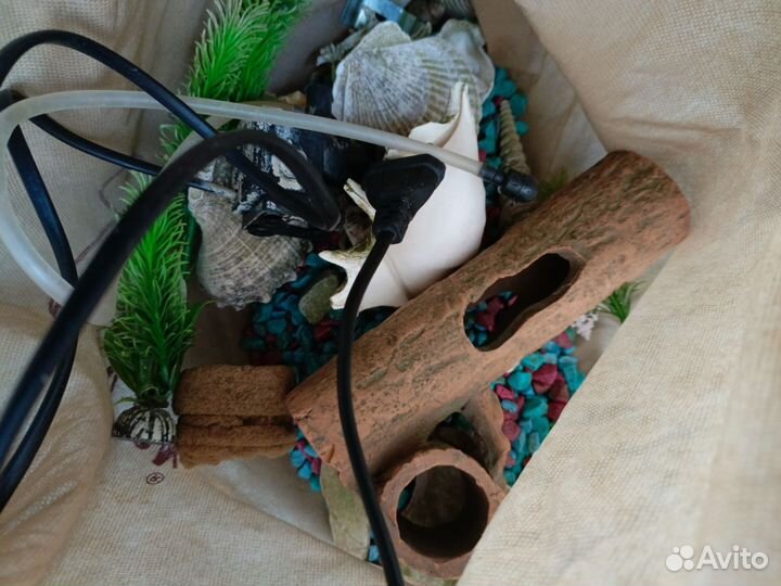 Аквариум с ракушками