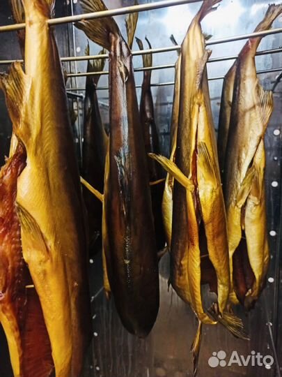 Форель холодного копчения. Натуральное копчение