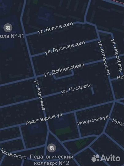 Выгульщик собак