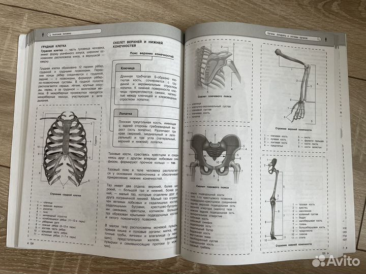 Пособие по биологии егэ огэ