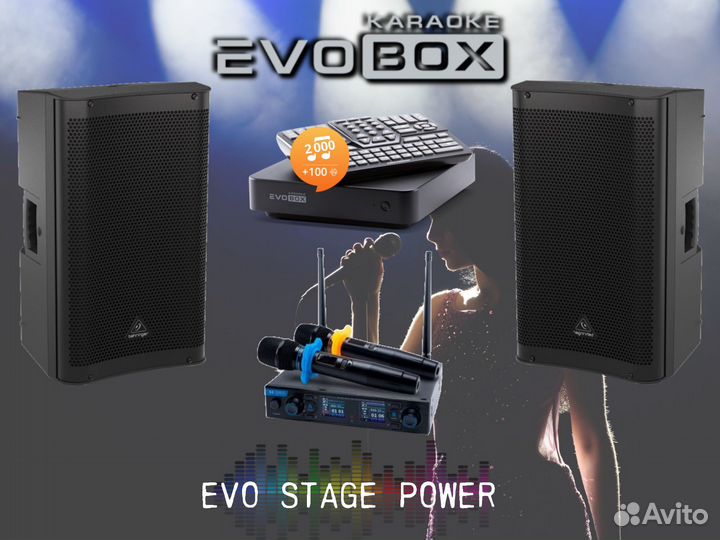 Караоке для дома комплект EVO stage power