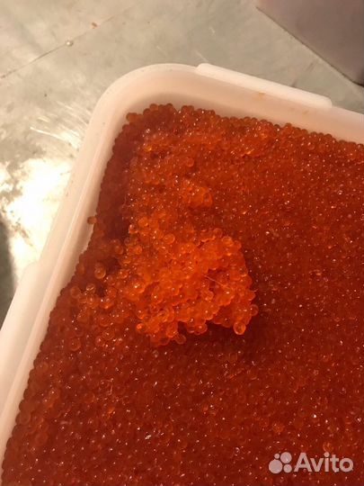 Красная икра