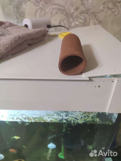 Трубки для сомов