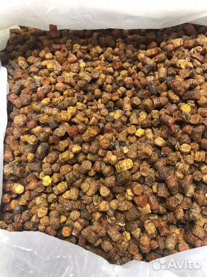 Перга пчелиная