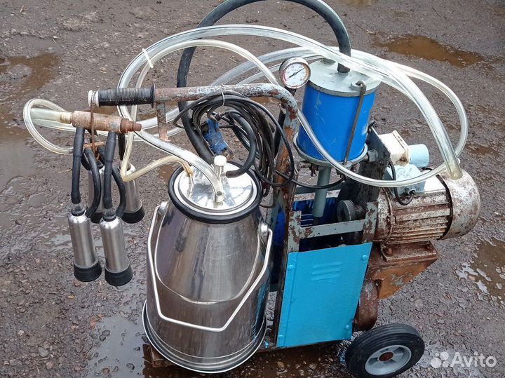 Доильный аппарат бу