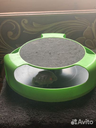 Игрушки для кошек