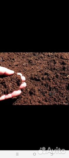 Навоз перегной