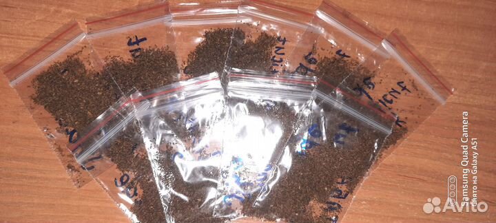 Семена табака и махорки сортовые