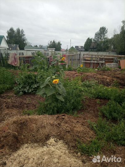 Конский навоз фирменный