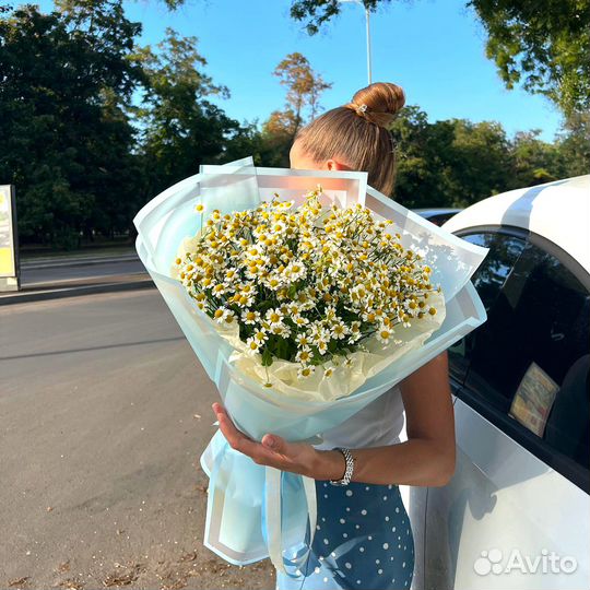 Солнечные Ромашки с Доставкой