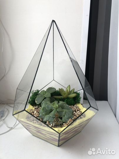 Флорариум на 8 Марта и День Рождения