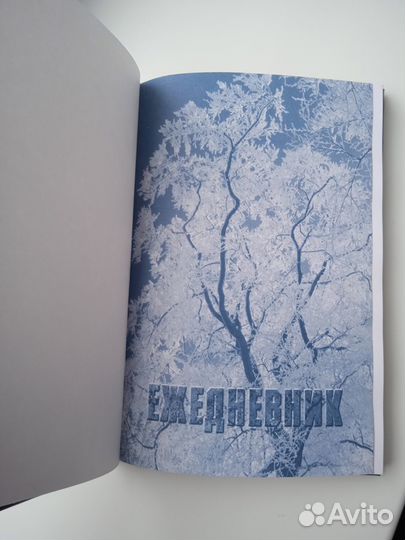 Ежедневник редкий Челябинское радио и тв