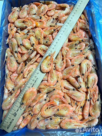 Креветки, мидии, морепродукты