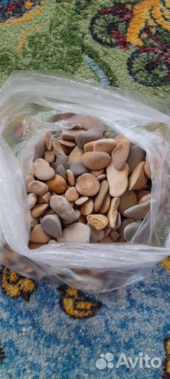 Аквариум 10 литров