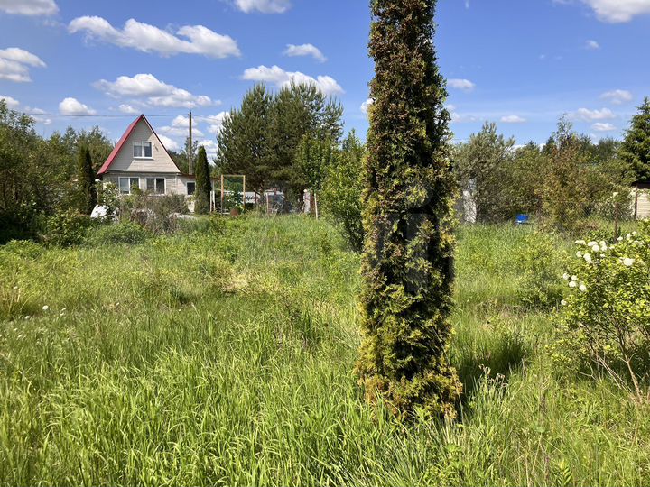 Дача 50 м² на участке 6 сот.