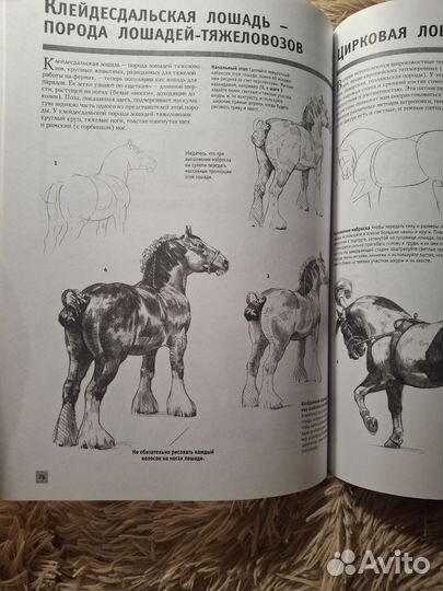 Книга обучение карандашом